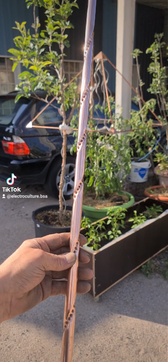 Tube Vortex Cuivre Dynamiseur D'eau Réseau Domestique Et Arrosage